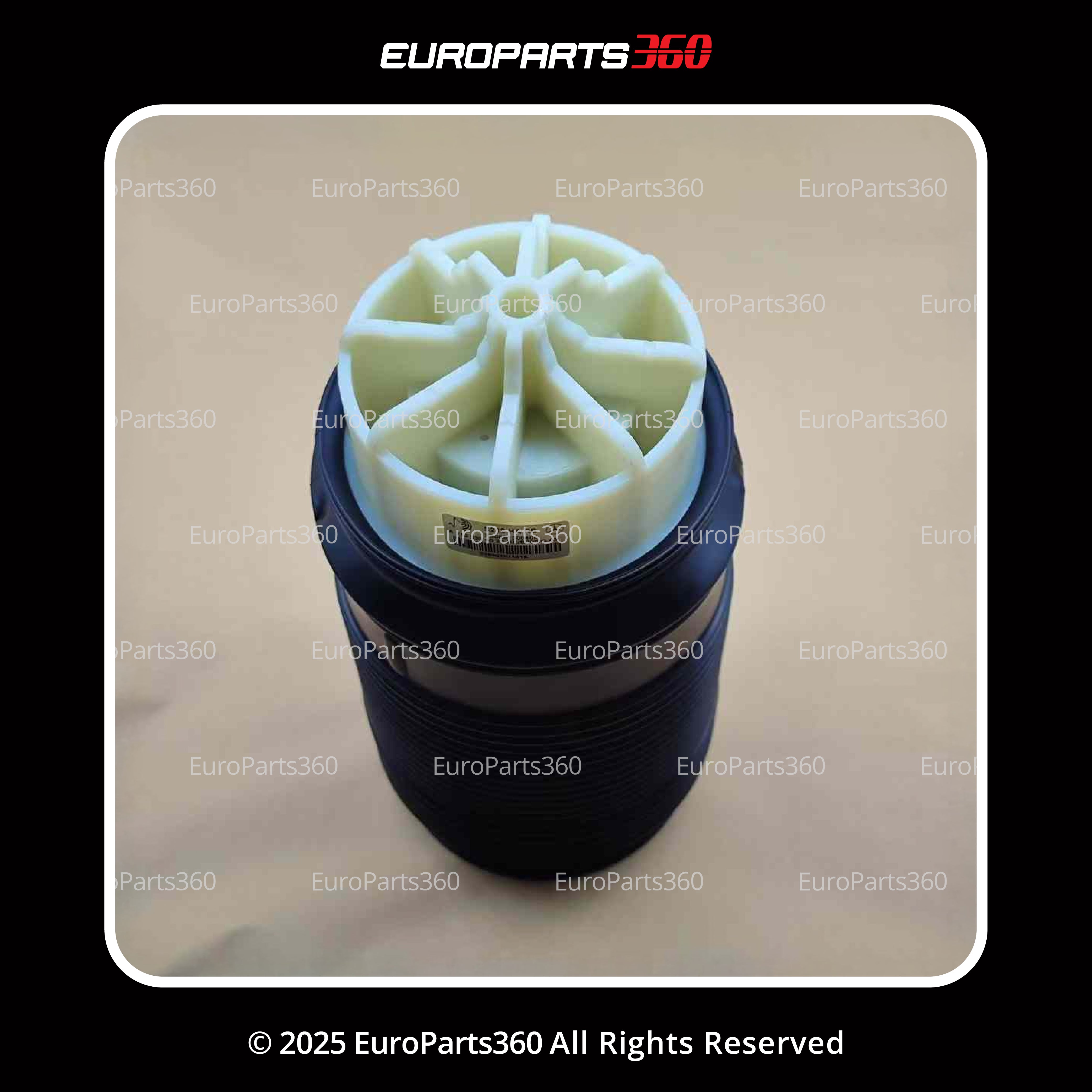 Mercedes-Benz CLS, E-Class Rear Air Suspension Spring Set A2123204025, A2123203925