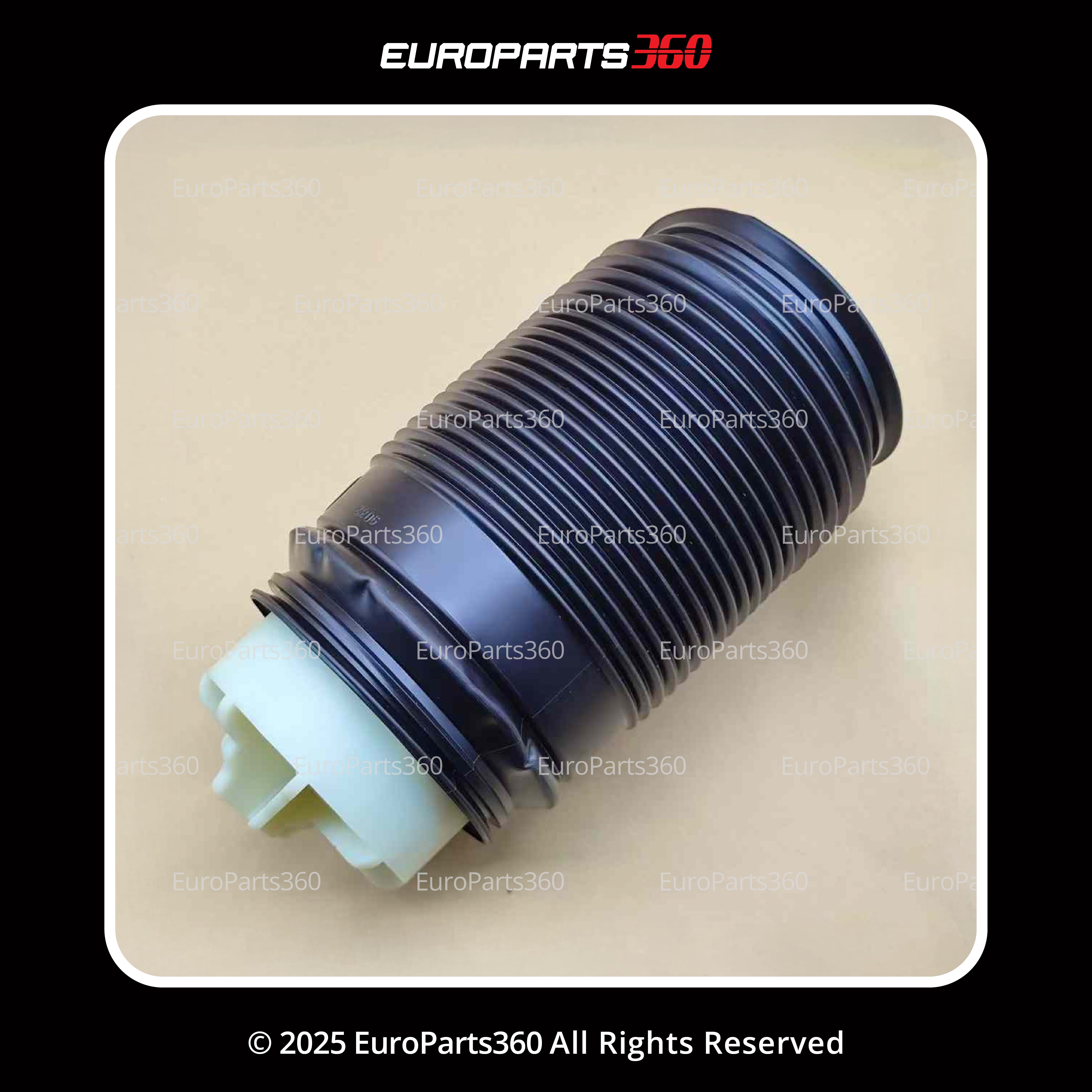 Mercedes-Benz CLS, E-Class Rear Air Suspension Spring Set A2123204025, A2123203925