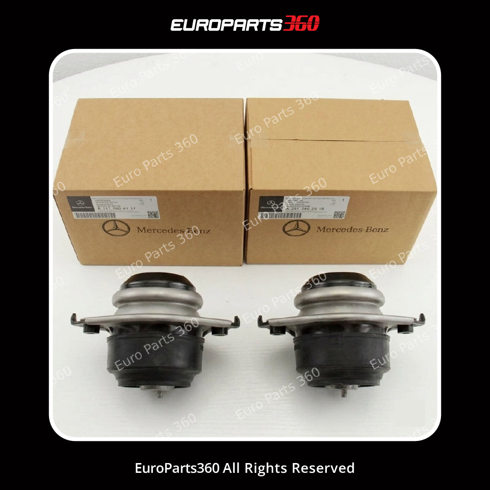 Mercedes M-Class, GL-Class & R-Class Engine Mount Set & Transmission 2512404117 2512402518