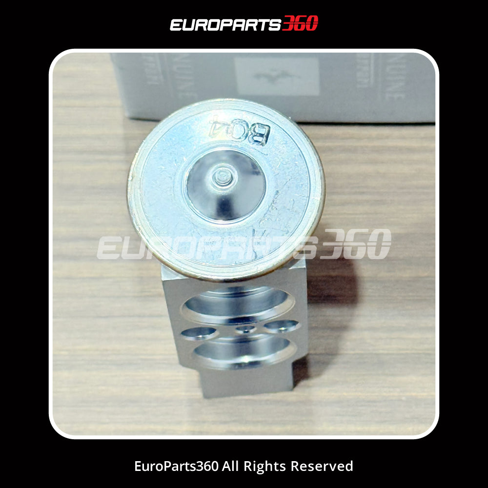 Ferrari Genuine A/C Expansion Valve - 065518600