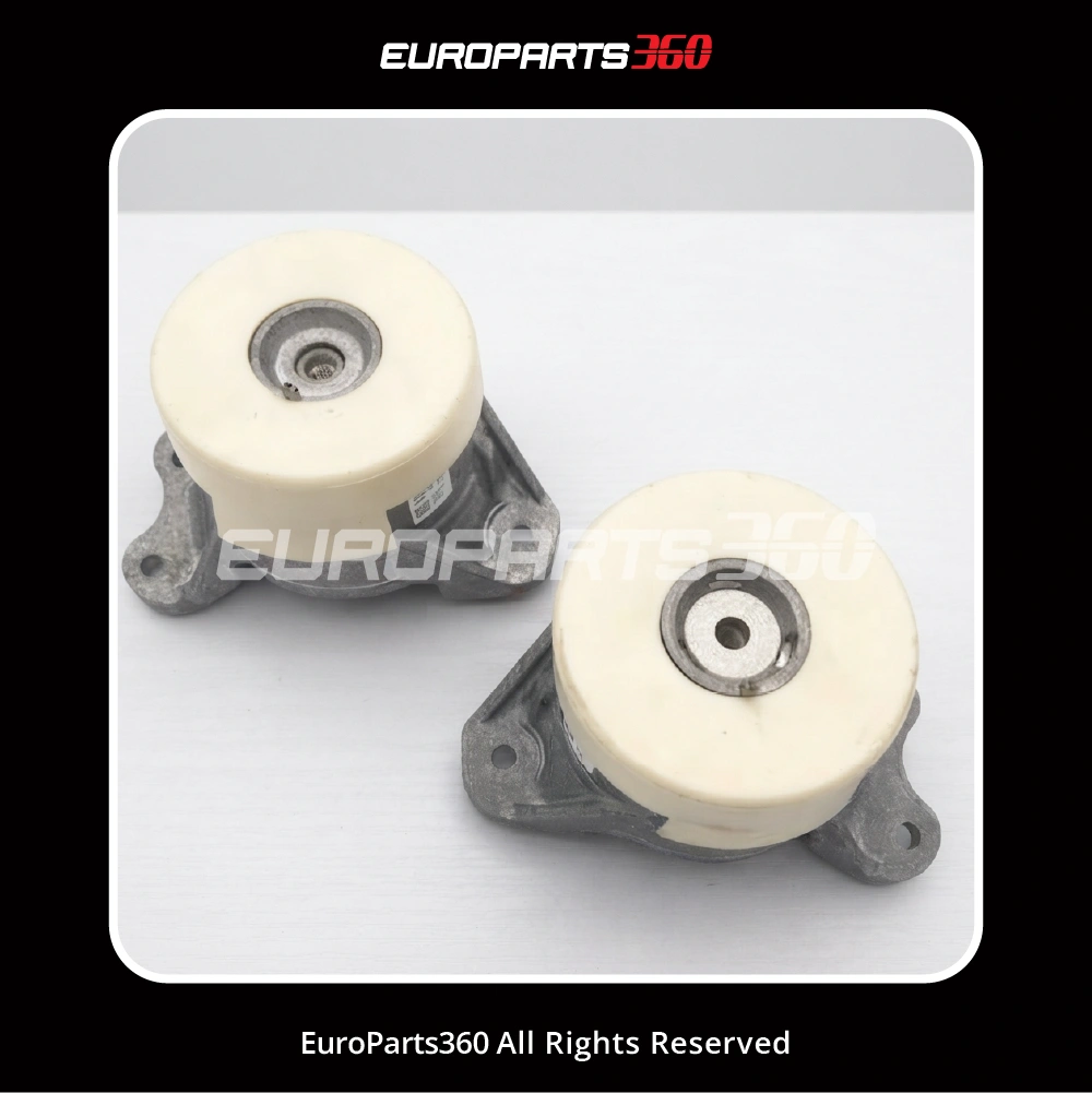 Mercedes-Benz C300 Engine Mount Set - 2052400900