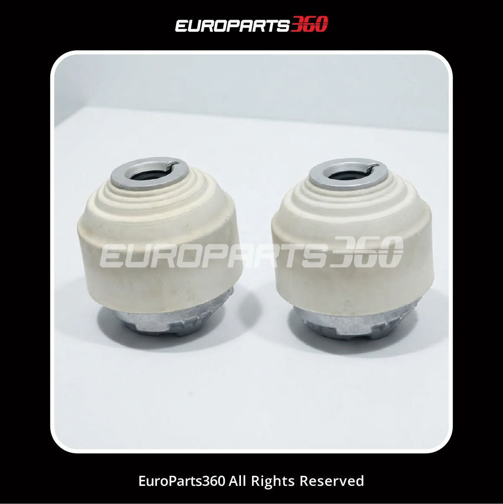 Mercedes-Benz SL550 Engine Mount Set -A2302400417, 2302400317 (2007-2012)