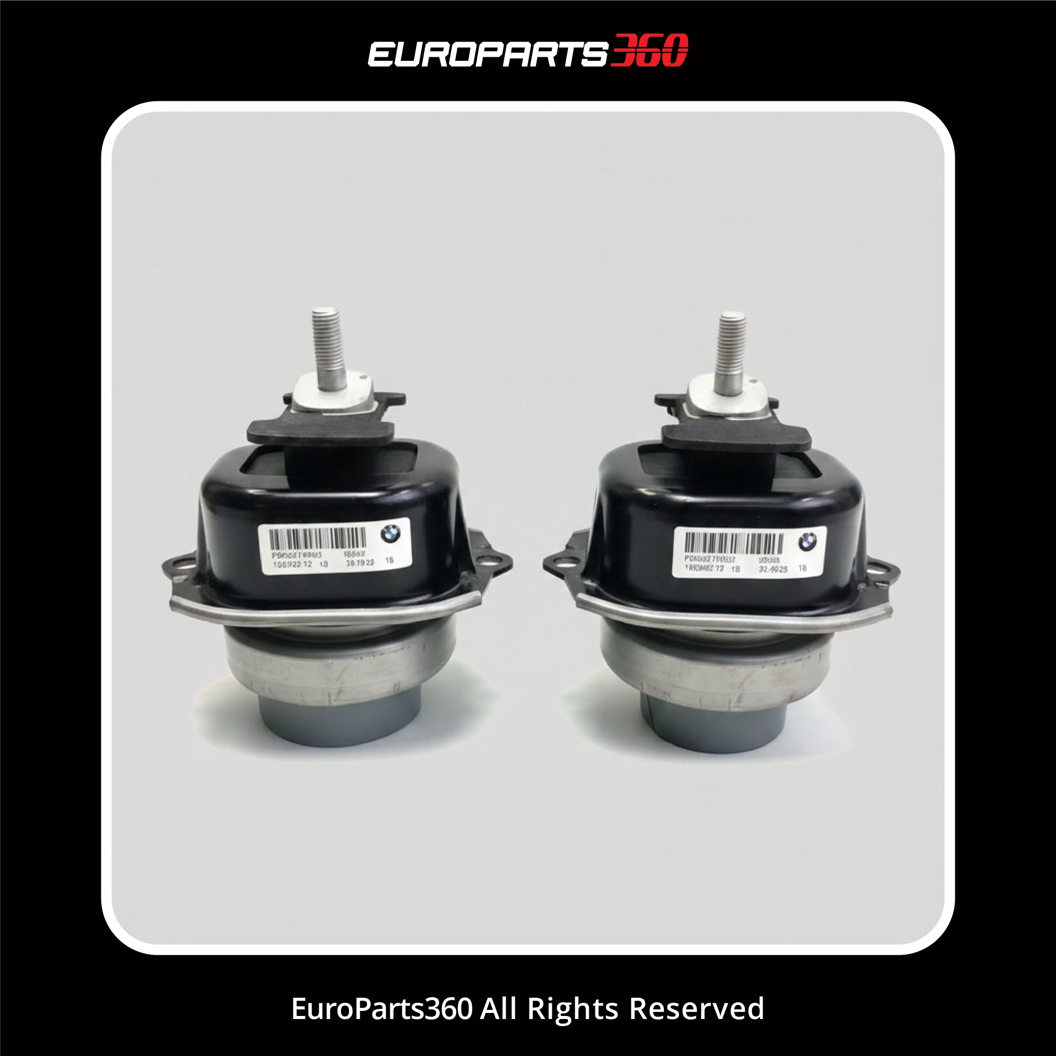 BMW X5 X6 Left & Right Engine Mount Set 22116853103, 22116853104 2013–19 Europarts360