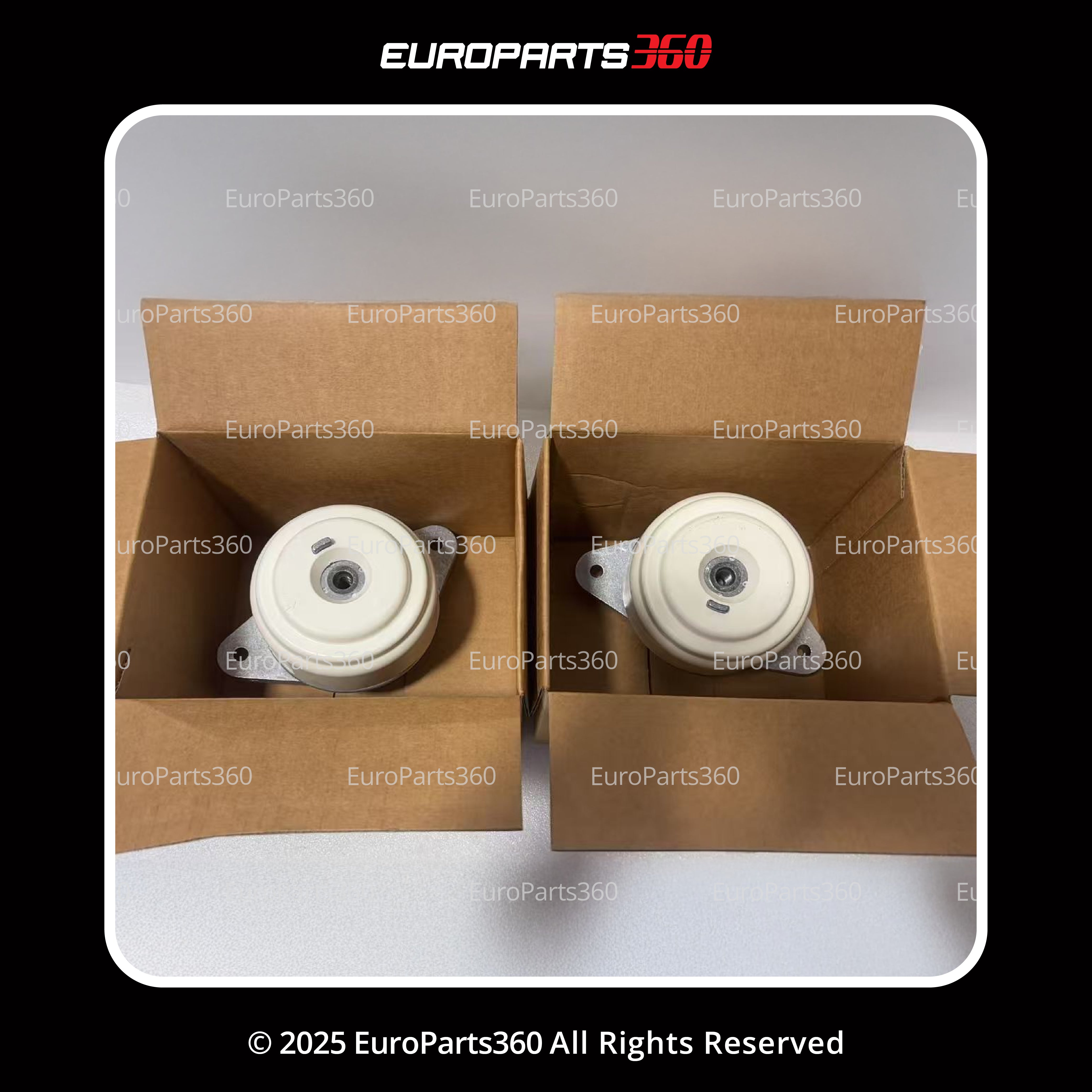 Mercedes Benz E350 Engine Mounts Left and Right Set A2122400717 - Europarts360