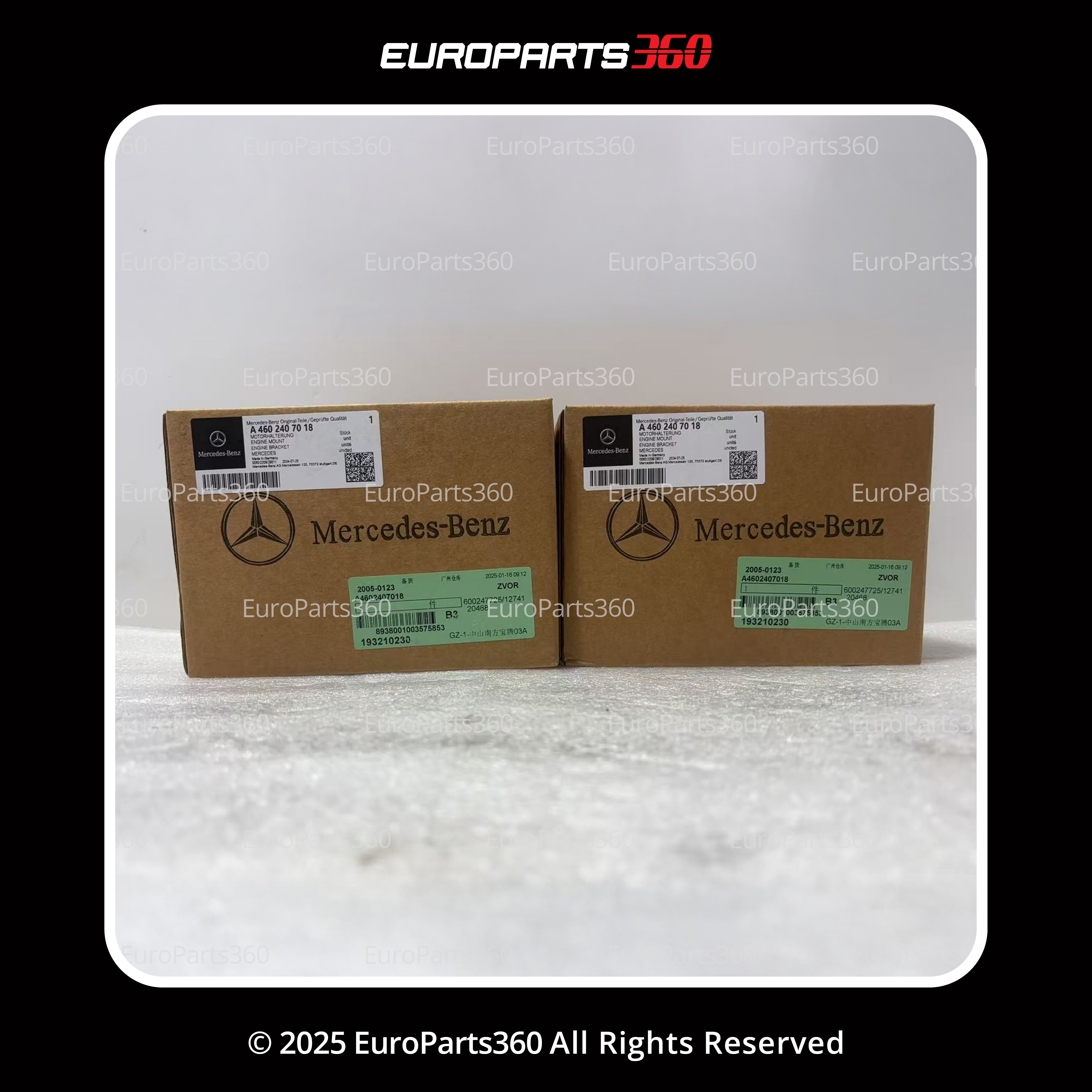 Mercedes Benz G55 Amg G63 Amg G550 Engine Mounts Left & Right A4602407018 - Europarts360
