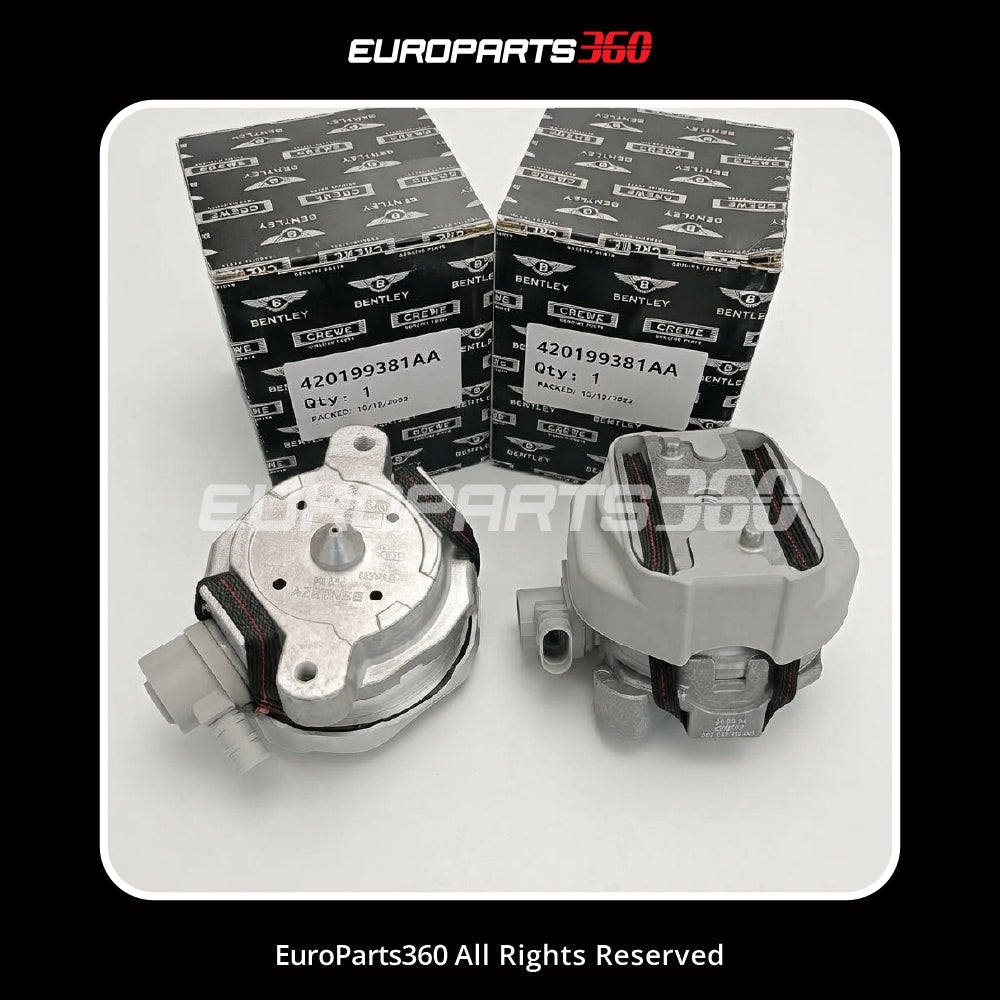 Lamborghini Genuine Engine Mount Set (Pair) - 420199381AA