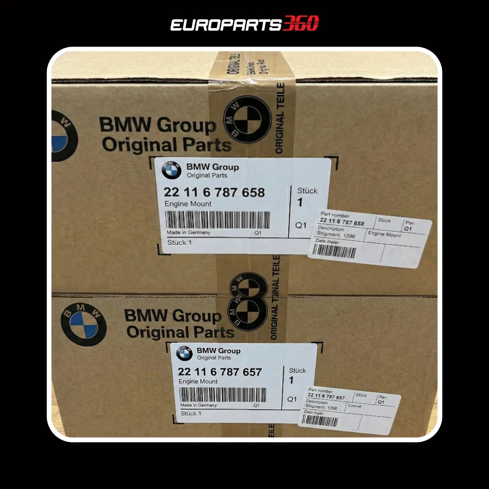 BMW 320i 328d 328i 428i Engine Mount Set - Left & Right 22116787657 22116787658