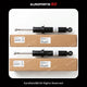 BMW X5 E70 / X6 E71 Rear Shock Absorber Set 33526783017 33526783018