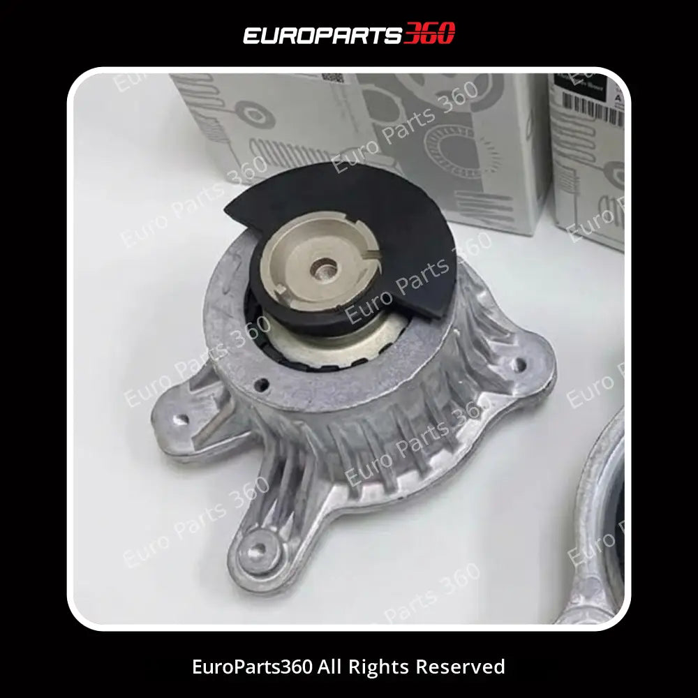 Mercedes-Benz C-Class  Engine Mount Set A2052400200 A2052400300 Left & Right Europarts360