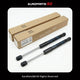 BMW M5 5 7 Series Front Hood Gas Struts Set (Lift Supports) 51237347402