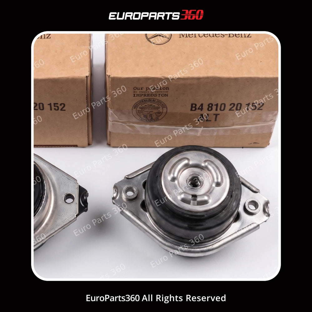Mercedes GL ML R-Class W164 Engine Mount Set  A2512404417 (06-12) Europarts360